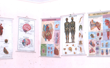 siddaganga school of nursing